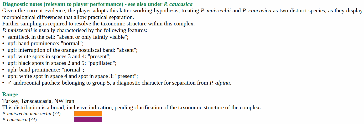 Diagnostic morphological features of Pseudochazara mniszechii: analysis of samtfleck, androconial patches, and wing spot patterns for species identification