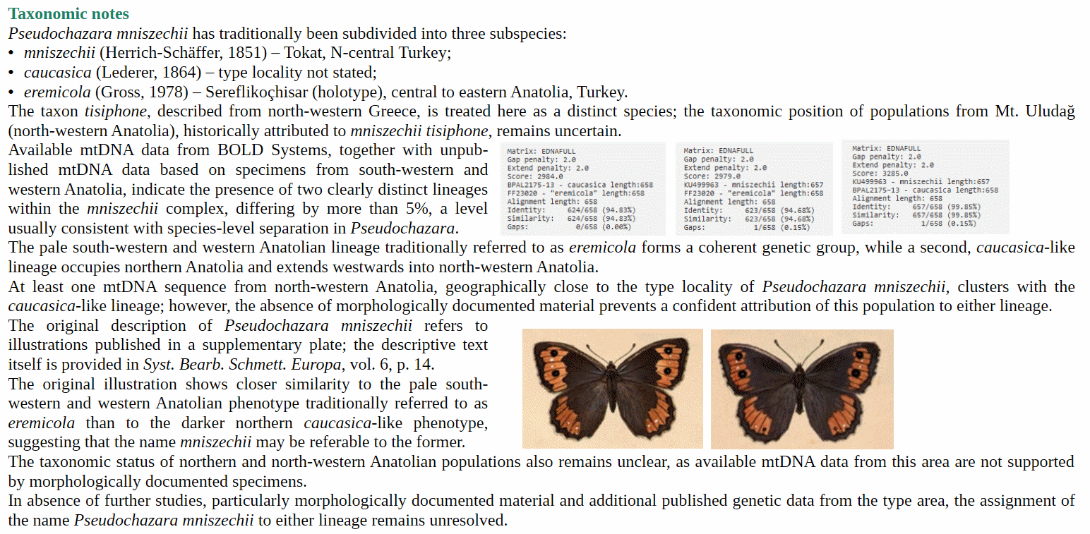 Taxonomic notes and nomenclatural history of Pseudochazara mniszechii, including mtDNA genetic distance matrices from BOLD Systems and phenotype comparison.